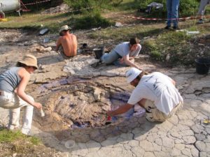 Paléontologues au travail