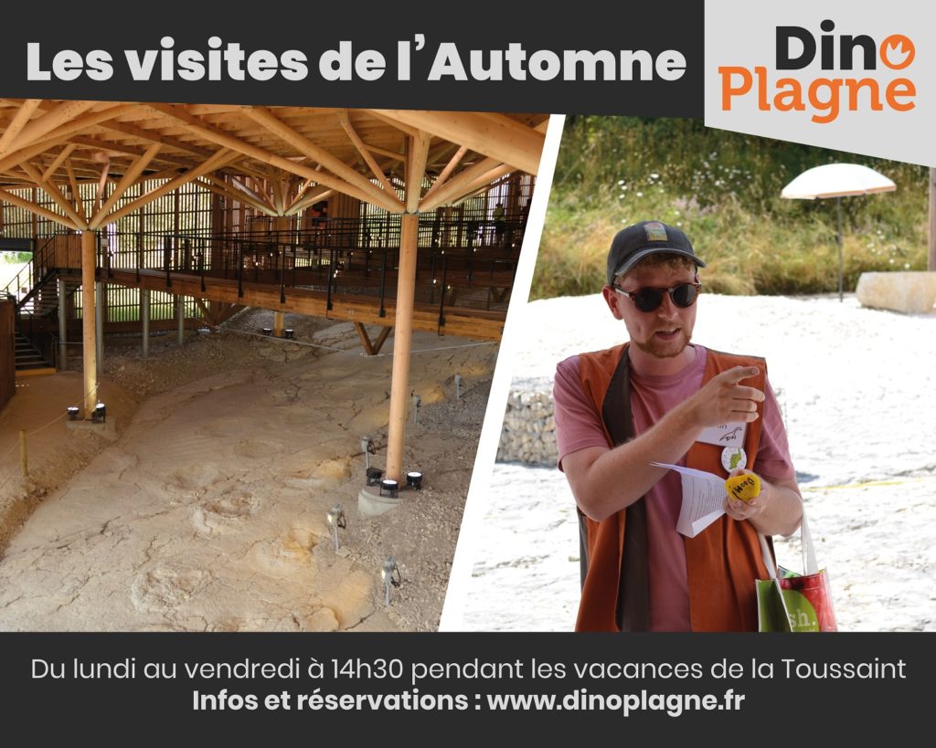 Les visites de l'automne à Dinoplagne