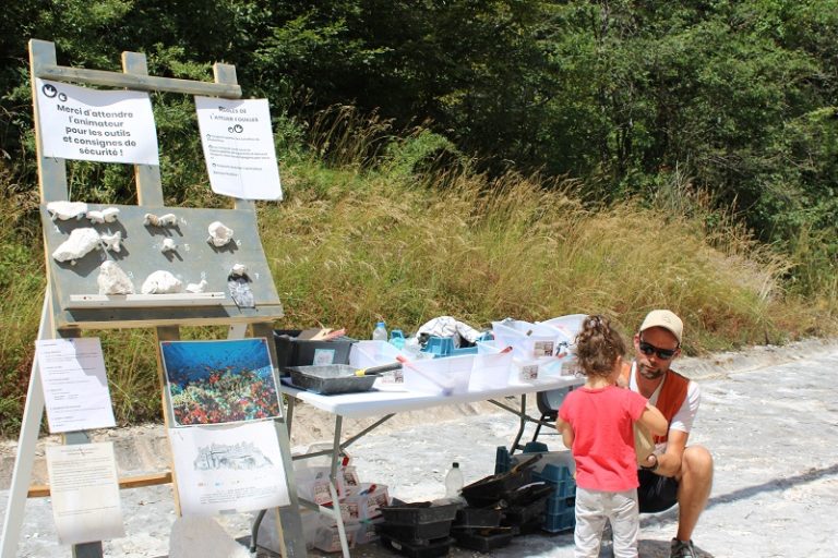 Atelier recherche de fossiles à Dinoplagne