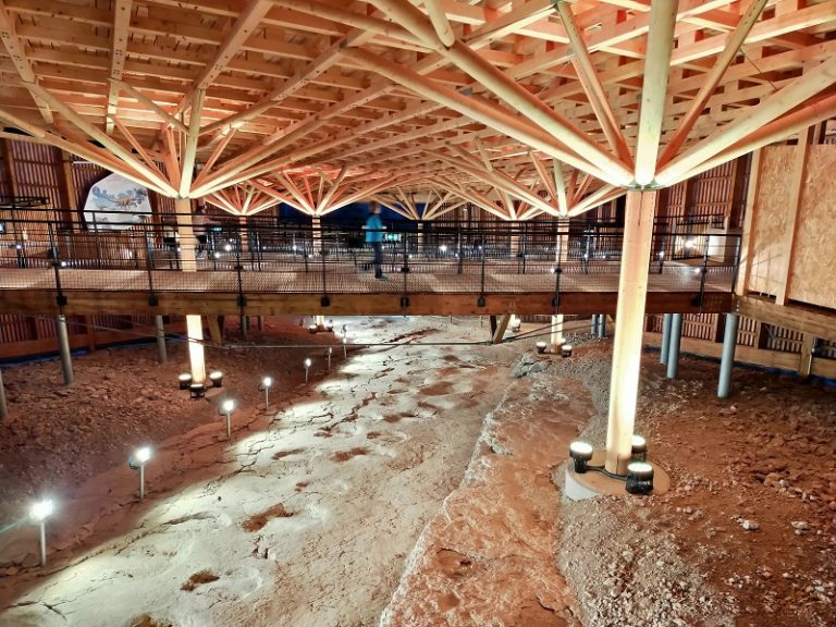 Visite nocturne à Dinoplagne