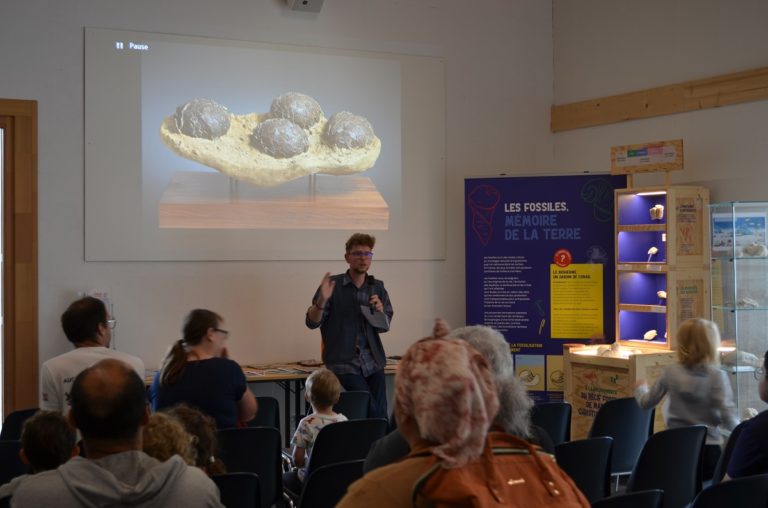 Animation œuf de dino