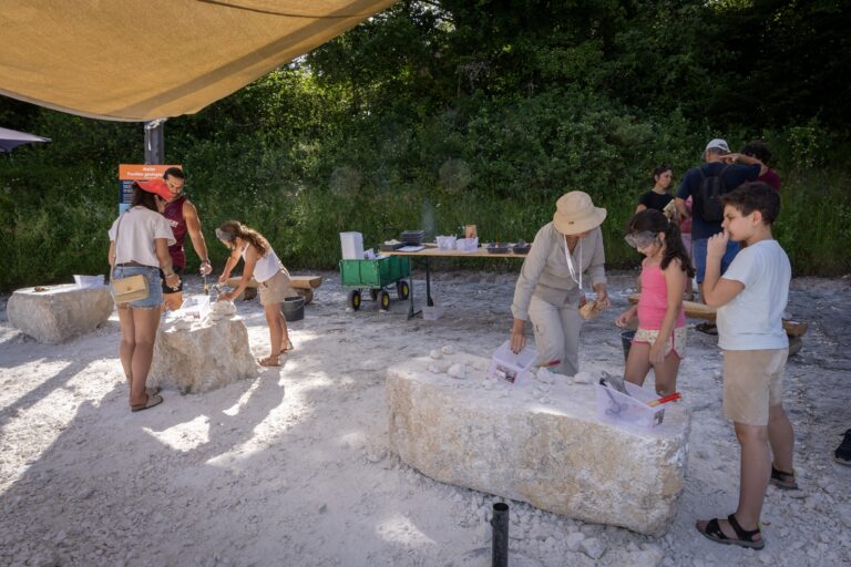 Atelier fouille : recherche de fossiles à Dinoplagne